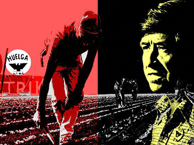 The Fight in the Fields - image