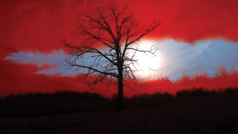 Forgiveness: A Time to Love and a Time to Hate (Part 2)