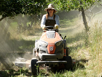 Fool's Paradise (lost?) - image