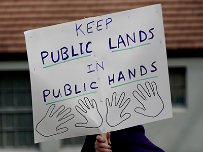 Small Is Beautiful: The Quest to Save the Valley of the Moon - image